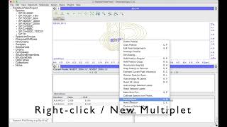 CcpNmr AnalysisAssign V3  Creating a Noesy Peak List From Multiplets [upl. by Jessalyn]