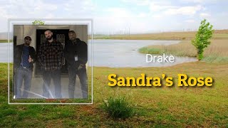 Drake  Sandras Rose Lyrics 🎵 [upl. by Tedmund]