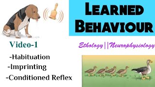 1Learning and MemoryLearned BehaviourTypes of learningHabituationImprintingConditioned Reflex [upl. by Annohsed]