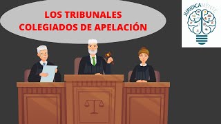 LOS TRIBUNALES COLEGIADOS DE APELACIÓN [upl. by Ycart586]