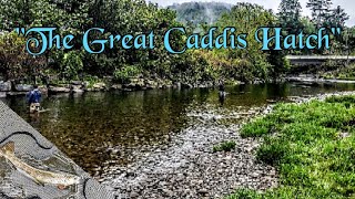 Catskills Fly Fishing quotThe Beaver Killquot  Part 2 [upl. by Nylirehc]