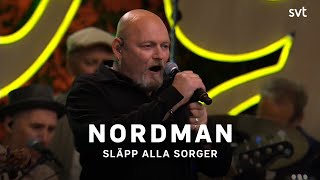 Nordman  Släpp alla sorger  Allsång på Skansen 2023  SVT [upl. by Oiraved900]