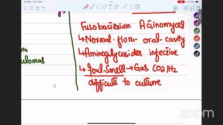 Microbiology Class2 Taxonomy of Bacteria Staining of bacteria [upl. by Udenihc]