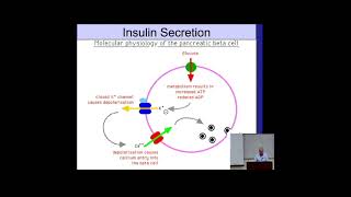 How Beta Cells Release Insulin Short Metabolism Made Easy [upl. by Tallia]