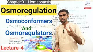 Osmoregulation  Osmoconformers Vs Osmoregulators  Lecture4  12th Bio New Book  Sir Zeeshan [upl. by Koser]