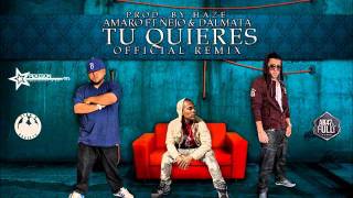 Amaro Ft Ñejo amp Dalmata  Tu Quieres Official Remix Prod By Haze [upl. by Gordan]