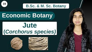 Economic Botany  Jute Corchorus species  B Sc amp M Sc [upl. by Sunil763]