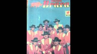 Banda BravaDame Una Probadita [upl. by Elvyn709]