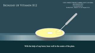 Bioassay of vitamin B12 [upl. by Aisya796]