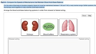 Mechanisms for Regulation of PH Acid Base balance in the body [upl. by Namor]