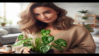 How to Grow and Care for Epipremnum Aureum Golden Pothos [upl. by Arramas]