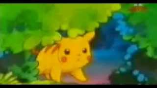 Pikachu Noctowl Emolga and Snivy amv Skyscraper collab with Pika20289 [upl. by Celina849]