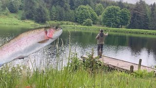 Fishing for trout in ScotlandFly fishing [upl. by Catriona]