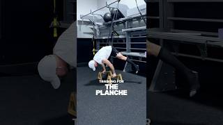 Training the planche calisthenics planche [upl. by Aleda]