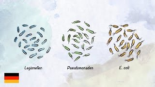 Basiswissen zur Trinkwasserhygiene [upl. by Ludewig251]