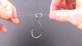 Palomar Knot  Quick Tutorial on How to Tie This Strong Knot [upl. by Rollins737]