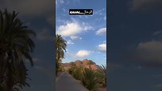 🌴let explore the legendary drra valley agdezzagoradesert atlas shorts youtube maroc [upl. by Yreffeg]