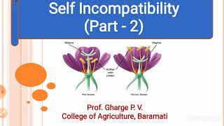 Lecture No 4  Self Incompatibility Part  2 [upl. by Mainis]