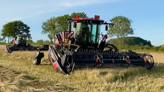 MacDon M1170NT amp M155E4 Swathing Grass  Sonesson Bialitt AB 4K [upl. by Lleret]