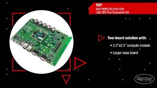 NXP iMX 8M Plus Applications Processor  First Look [upl. by Beal]