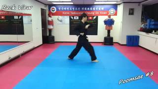 Taekwondo  Poomsae 8 Pal Jang Slowmotion amp Mirror [upl. by Philbin]