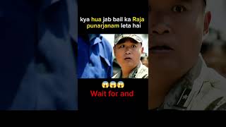 Durbhagya se jab bail ka Raja punarjanm shorts movie trending [upl. by Rosena]