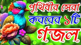 খুবই দুঃখের অন্তর ফেঁটে যাওয়া কবরের মরমী গজলআমার মরণের কতদিন বাকিhafij nazim 786 [upl. by Fermin]