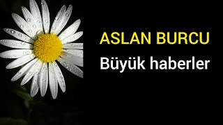 💚ASLAN BURCU💚KAHVE FALIYENİ KARARLAR BAŞLANGIÇLAR [upl. by Tillford]