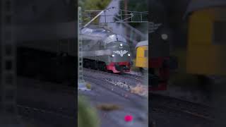 Märklin Di3 🚂  Norways cult locomotive in H0 ✨ [upl. by Erodasi]