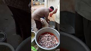 ❤‍🔥 song tamil music Fish fry👍VelloreChennai food [upl. by Fortune99]