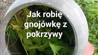 Jak robię gnojówkę z pokrzywy [upl. by Creigh707]