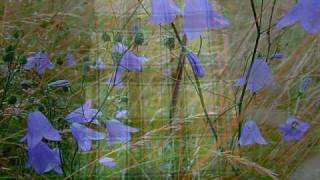 Blue Bells of Scotland  A Pryor  Solist Dany Bonvin  Trombone  Blechschaden [upl. by Anileda]