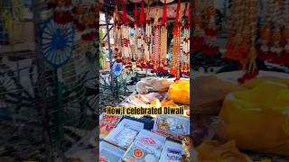 Happy Diwali 🎇 minivlog home festival diwali enjoy happy blessed [upl. by Eiuqram]