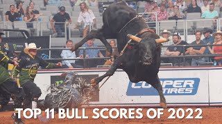 Top 11 Bull Scores of 2022 [upl. by Dawkins482]