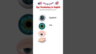 Eye Parts and Functions Learn Eye Vocabulary in English  English Vocabulary for All english [upl. by Galatia660]