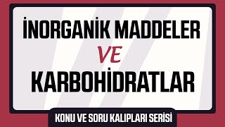 Canlıların Temel Bileşenleri  İnorganik Maddeler ve Karbohidratlar [upl. by Ayekam570]