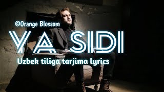 Orange Blossom Ya Sîdî Uzbek tiliga tarjima lyrics tarjima uzb rek trend [upl. by Nawek]