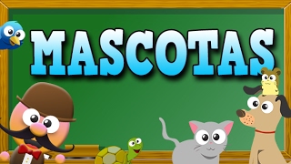 MASCOTAS EN INGLÉS  INGLÉS PARA NIÑOS CON MR PEA ENGLISH FOR KIDS [upl. by Lowenstein]