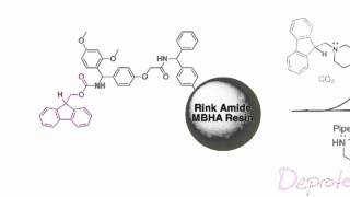 Fmoc Solid Phase Peptide Synthesis [upl. by Ycal]