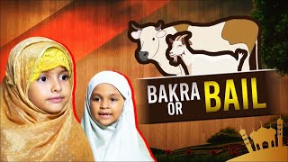 Bakra Aur Bail  Pyari Kaliyan  Bakra Eid Special 2022  Mera Bakra Agaya [upl. by Yggam]