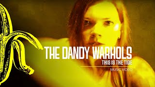 The Dandy Warhols  This Is The Tide [upl. by Annot]