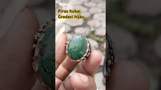 Pirus hubai gradasi hijau [upl. by Gomez]