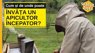 Cum si de unde poate invata un apicultor incepator [upl. by Ivz8]