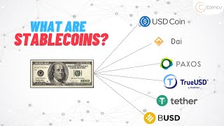 What is a Stablecoin USDT DAI BUSD USCD  Cryptocurrency Guide [upl. by Goeselt]