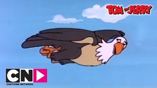 Egg and Tom amp Jerry  Tom amp Jerry  Cartoon Network [upl. by Ceevah732]