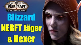 MEHR NERFS für Hexer amp Jäger  WoW Shadowlands Season 4 [upl. by Munsey]