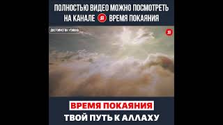 Аллах остался доволен верующими когда они присягали тебе под деревом в Худейбии [upl. by Aciraa662]