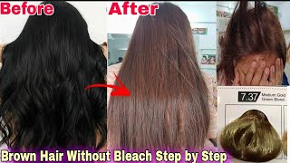 Finally Coffee brown hair dye step by step at home without bleach  Change your base color [upl. by Rea]