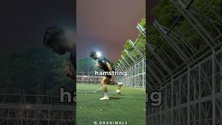 Hamstring Graft in ACL Surgery 🦵aclinjury aclsurgery [upl. by Bobker337]