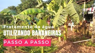 Agroecologia  Círculo de bananeiras [upl. by Acinoreb]